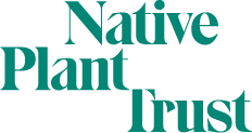 Native Plant Trust